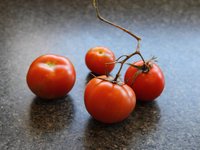 2014-07-31 self-seeded tomatoes.jpg